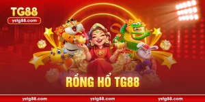 Rồng hổ TG88